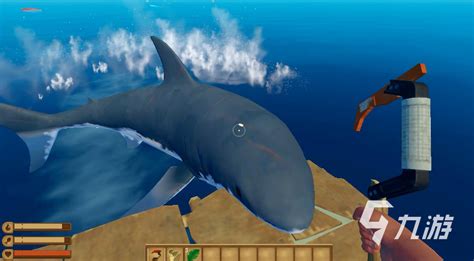 食人鲨：我来到黄金海岸，挑战“速度之王”顶级灰鲭鲨