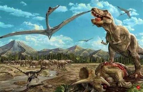 十大食肉恐龙排名，南美洲十大肉食恐龙
