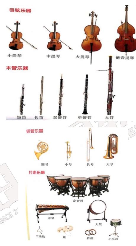 吹管乐器大全图,管乐器图片和名称,电子吹管乐器_大山谷图库