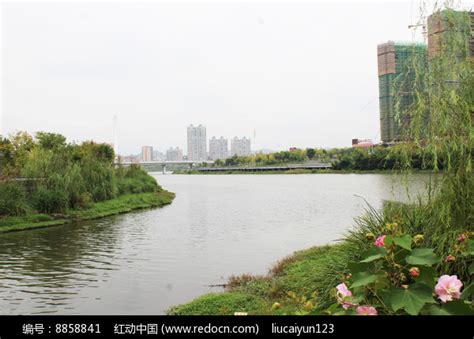 信丰桃江河两旁建筑高清图片下载_红动中国