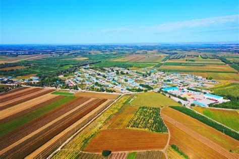 2021年洮南市国家级玉米制种基地建设现场观摩会议成果丰硕