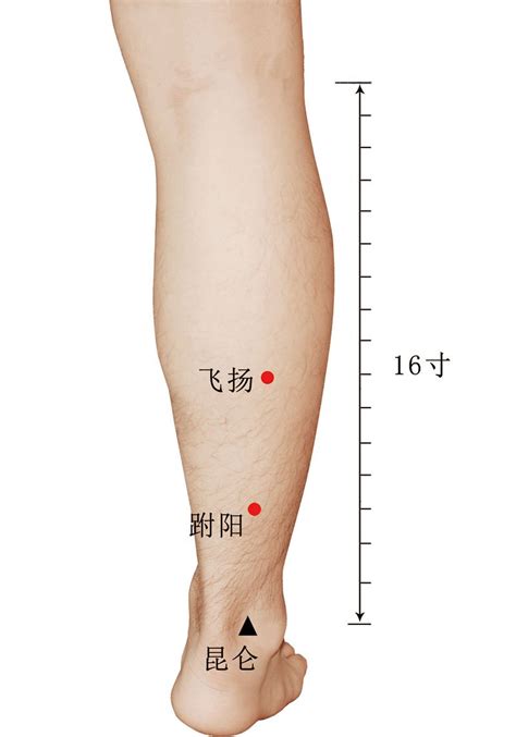 飞扬穴准确位置视频图作用功效配穴方法