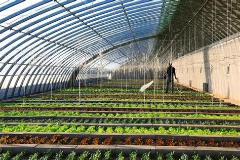 生态农业模式及生态农业的四个特点_北京山合水易规划设计院