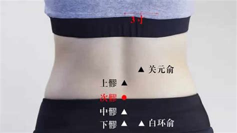 八髎穴位图图片