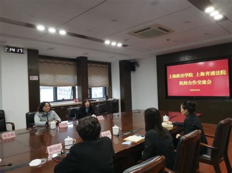 上海市高级人民法院网--青浦区人民法院通报西虹桥法庭成立五年工作情况 发布司法服务保障第六届进博会举措