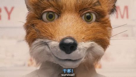 了不起的狐狸爸爸_电影海报_图集_电影网_1905.com