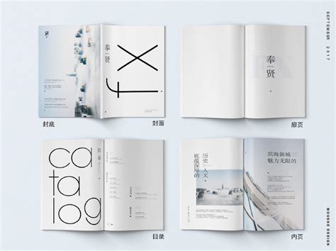 奉贤区招商宣传册-上海眸社设计_上海专业的VI设计,宣传册设计,画册设计,折页设计公司