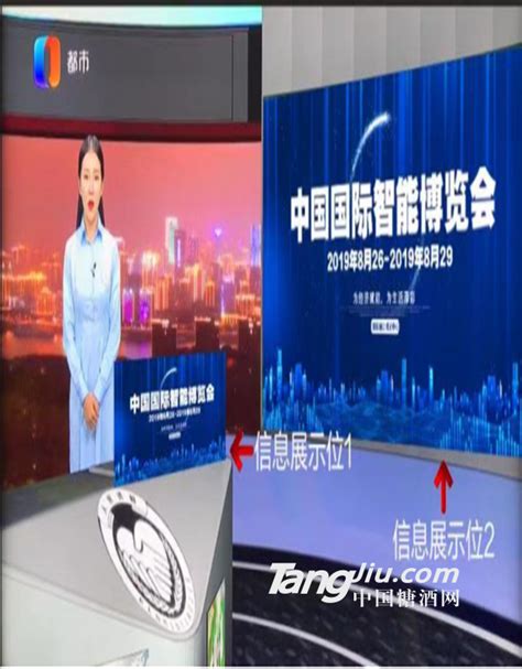 申仁洪教授接受重庆新闻频道节目采访-重庆市课程与教学研究基地