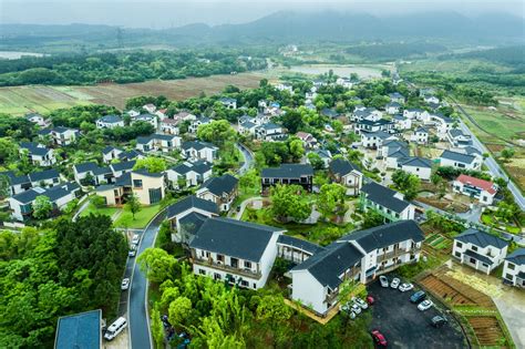 龙城乡情:好山好水牛马塘 曹山花居地瓜村 顾常华摄影__财经头条