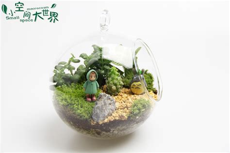 创意礼品 礼物 苔藓微景观套装 生态瓶材料包 工艺品厂家批发-阿里巴巴
