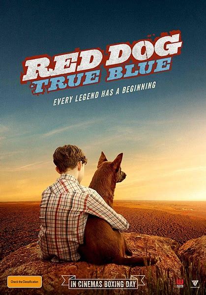 红犬历险记2：蓝犬(Red Dog: True Blue) 1080P 下载-高清电影™
