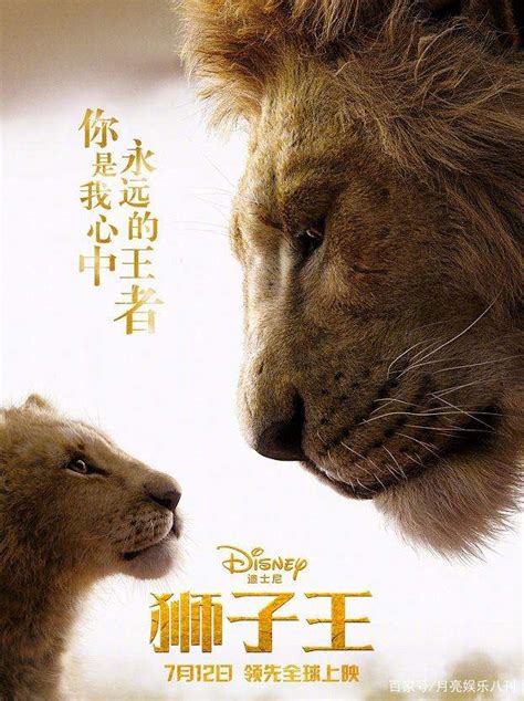 7月12号上映（狮子王） - 水头在线