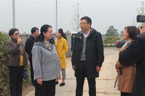 热烈欢迎宝鸡市市长杨广亭莅临考察高力奥莱项目,集团要闻,陕西高力投资集团有限公司
