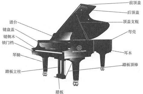 钢琴的击弦机系统详解-钢琴知识-资讯中心_天津柏通乐器