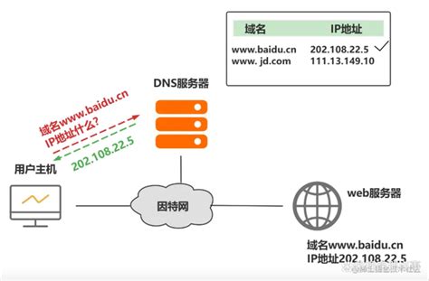 搭建 DNS 服务器实现域名解析_dns soa-CSDN博客