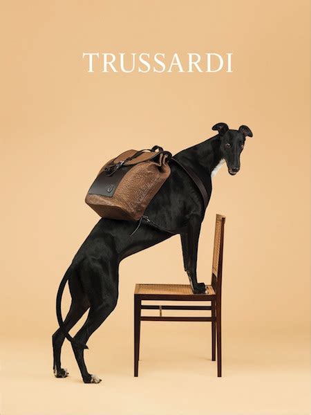 Шесть новых ароматов коллекции Trussardi Le Vie Di Milano ~ Новые ароматы