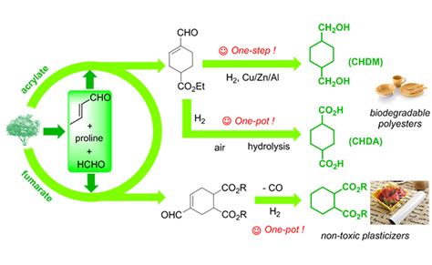 H 2 O 2 /乙腈体系下MgO催化环己酮Baeyer-Villiger绿色氧化合成 ε -己内酯的研究