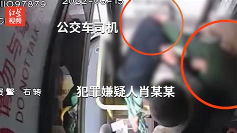 男子高铁上“耍酒疯”霸座殴打乘客 被行政拘留5日-宁夏新闻网