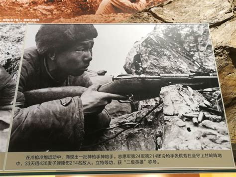 历史上最强悍的5名狙击手，张桃芳上榜，最后一位简直太吓人