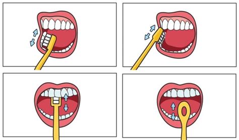 怎么用牙线清洁牙齿？牙线的正确使用姿势分享|怎么|牙线-知识百科-川北在线