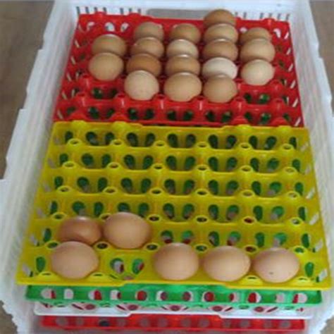 六枚带扣装鸡蛋托 鸡蛋鸭蛋盒 黄浆材质蛋托纸浆模塑厂家批发-阿里巴巴