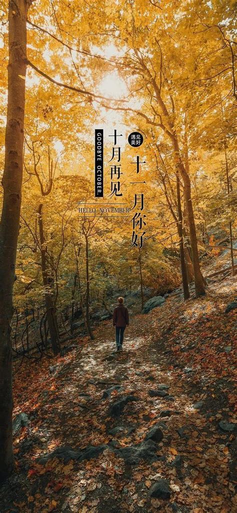 再见十月图片