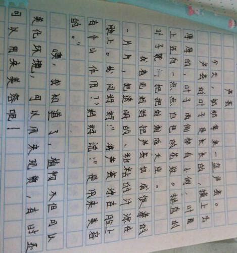 日记200字左右四年级折纸(日记400字 折纸) - 抖兔库学习网