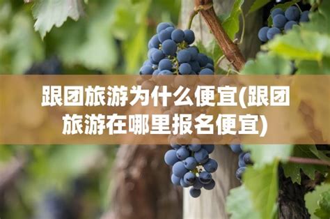 跟团游最容易被忽略的9个细节，作为游客一定要知道 | 游梦网