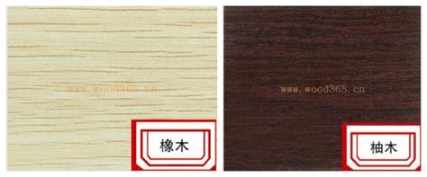 十大板材之腾飞木业 卓越典范-中国木业网