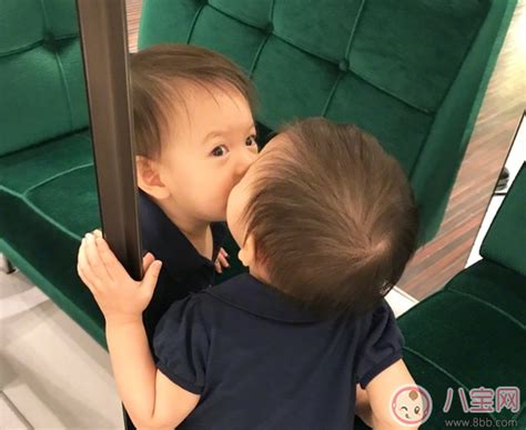宝宝喜欢照镜子好处多多 宝宝喜欢镜子原因揭晓 _八宝网