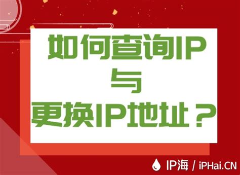 ip探针PHP源码 可免费获取对方IP地址 - 云烟博客-分享科技与狠活