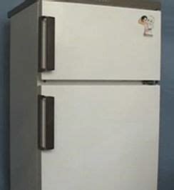 变频冰箱和定频冰箱的区别,变频冰箱型号类别,变频冰箱的工作原理,变频冰箱哪个牌子好_齐家网