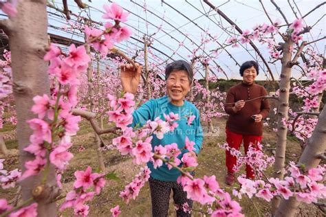 三月去闽清下祝，来一场“桃花源”式的乡村游！_焦点图_福州新闻网
