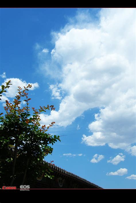 流浪的云_[标签:标题1]