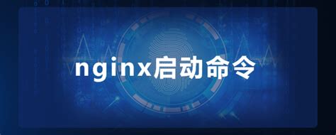 nginx 启动命令 - 网安