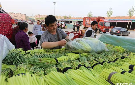 菜市场卖什么最赚钱利润也大（菜市场什么最挣钱）_斜杠青年工作室