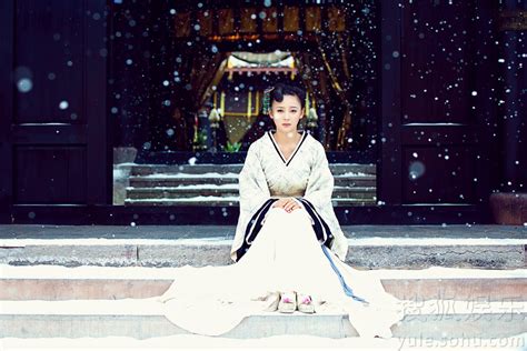 林源《王的女人》花倾国图片