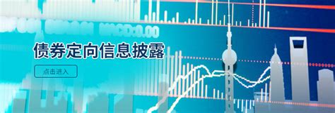 中国债券信息网
