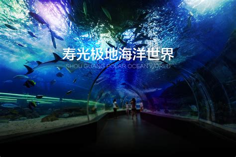 武汉市海昌极地海洋世界 - 湖北省人民政府门户网站