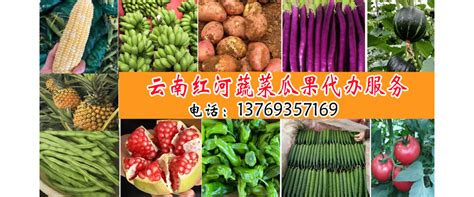 九江网红菜市场龙开河农贸市场高颜值亮相，网友称比自己家还干净_工作