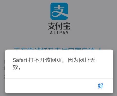 Safari打不开该网页，因为网址无效问题说明-阿里云开发者社区