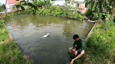 印度小哥下决心拯救被垃圾“淹死“的池塘，前后对比也太震撼了！__凤凰网