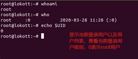 虚拟机如何连接主机网络 虚拟机如何切换到root用户-CrossOver中文网