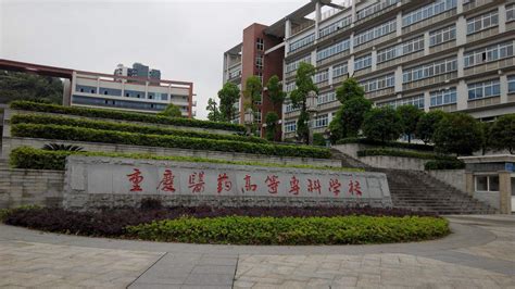 重庆专科院校有哪些（重庆15所排名靠前的专科学校）-散文号