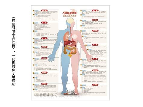 癌症预防海报模板素材-正版图片400841850-摄图网