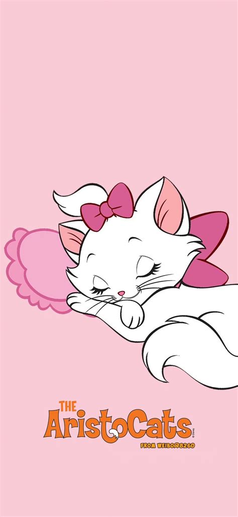MarieCat~玛丽猫图片