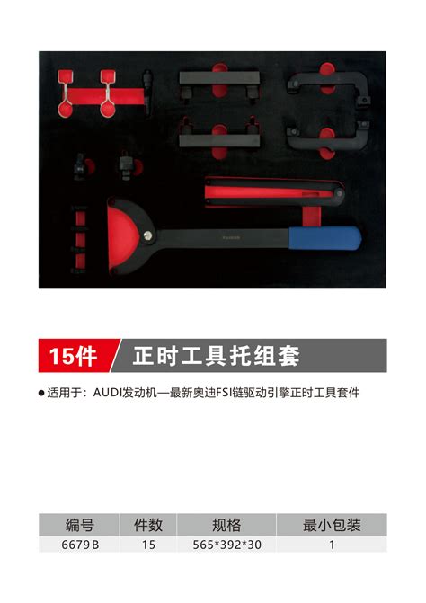 15件正时工具托组套（NO.6679B） - 深圳市百思泰科技有限公司