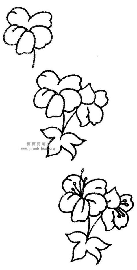花朵美丽的花简笔画怎么画呀(怎样画美丽的花朵简笔画) | 抖兔教育
