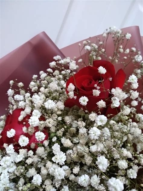 玫瑰花与满天星高清图片下载-正版图片600097059-摄图网