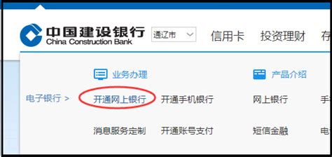 上海农商银行个人网上银行大众版登录